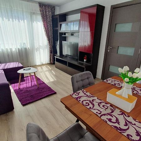 Andrei Apartment ブラショフ エクステリア 写真