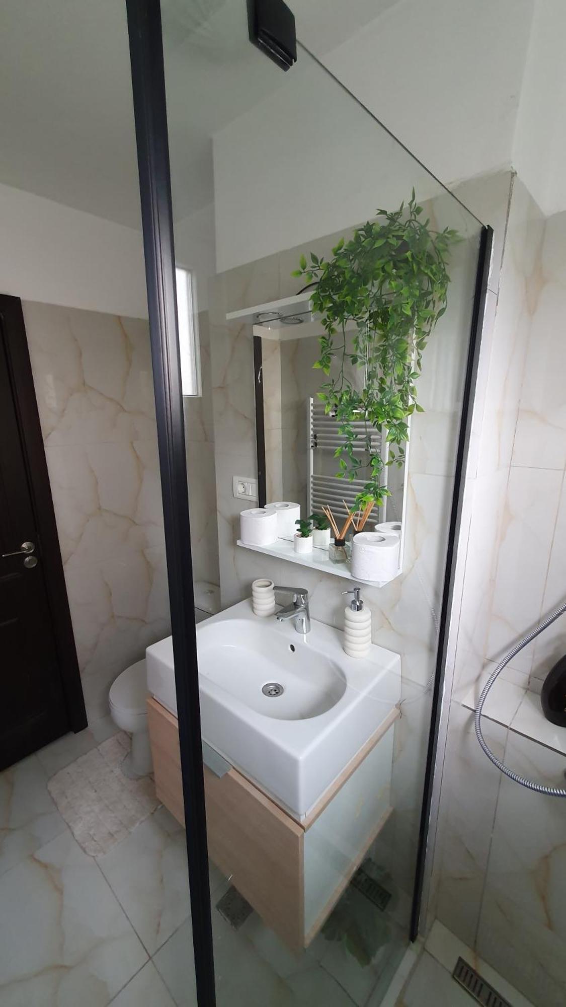 Andrei Apartment ブラショフ エクステリア 写真
