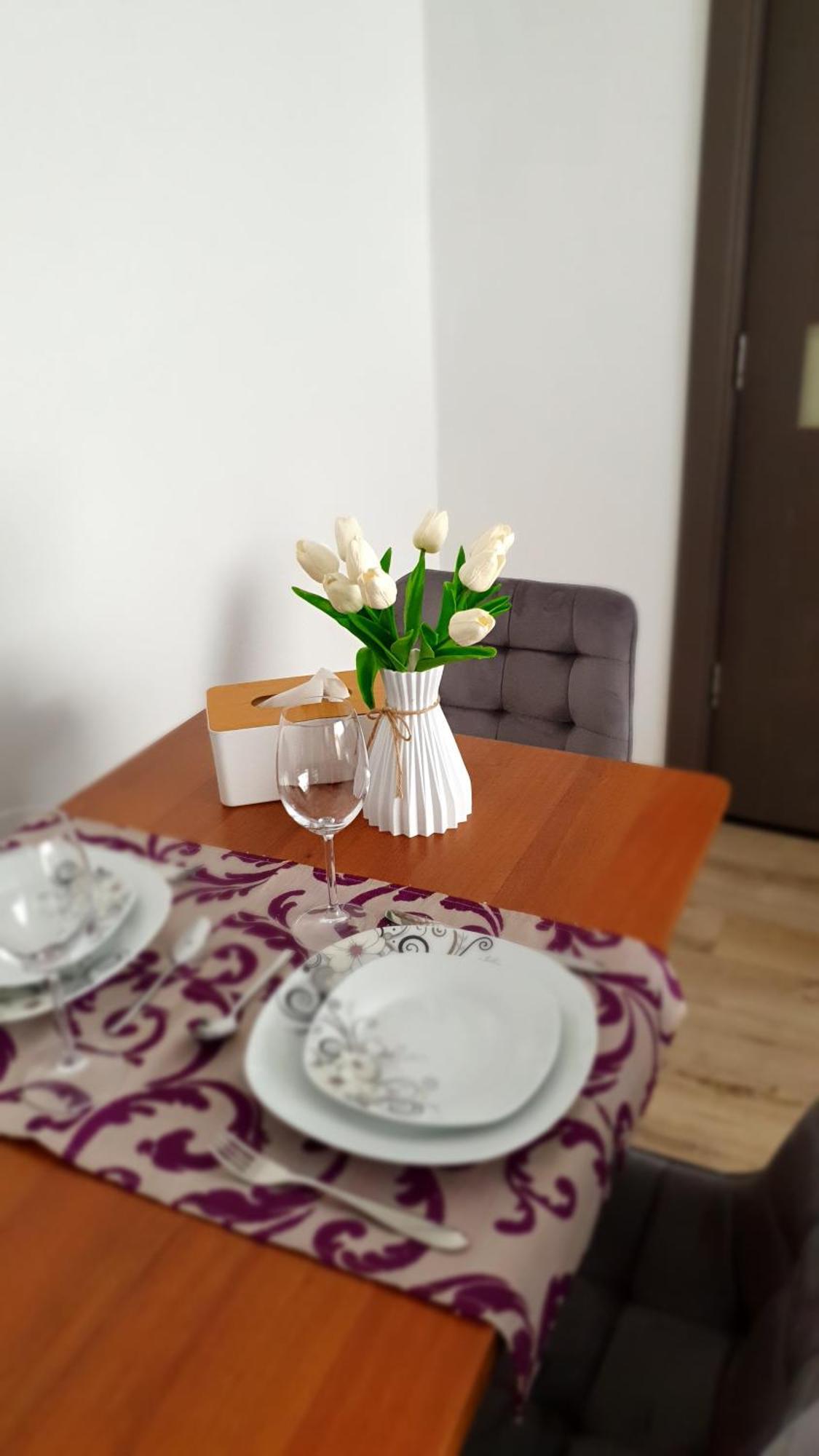 Andrei Apartment ブラショフ エクステリア 写真