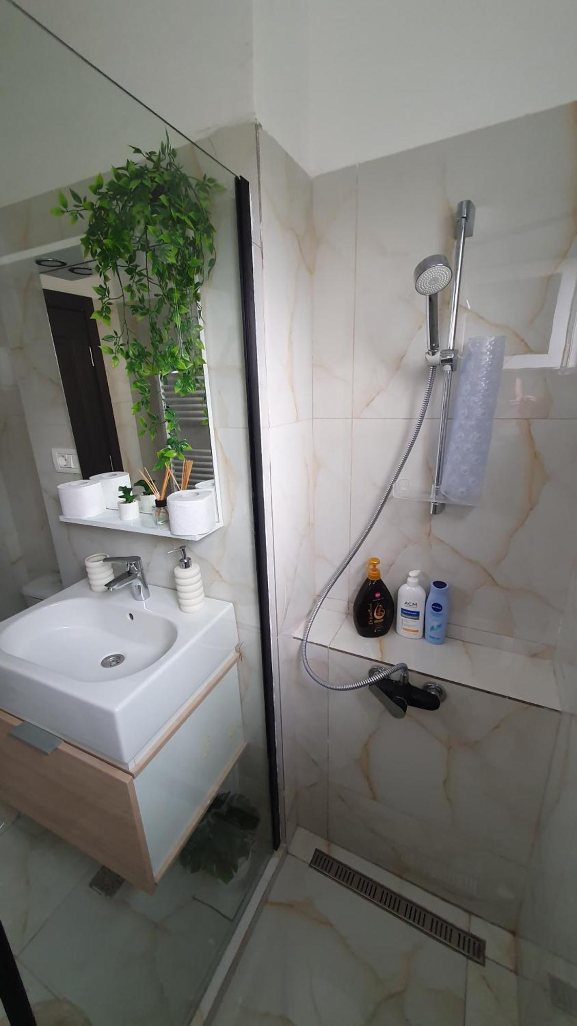 Andrei Apartment ブラショフ エクステリア 写真