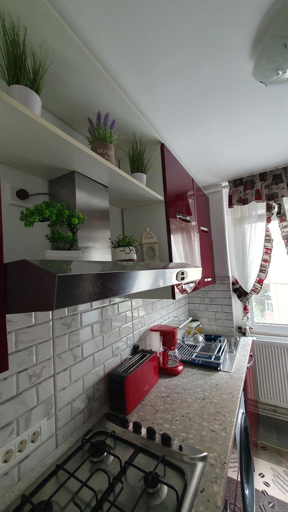 Andrei Apartment ブラショフ エクステリア 写真